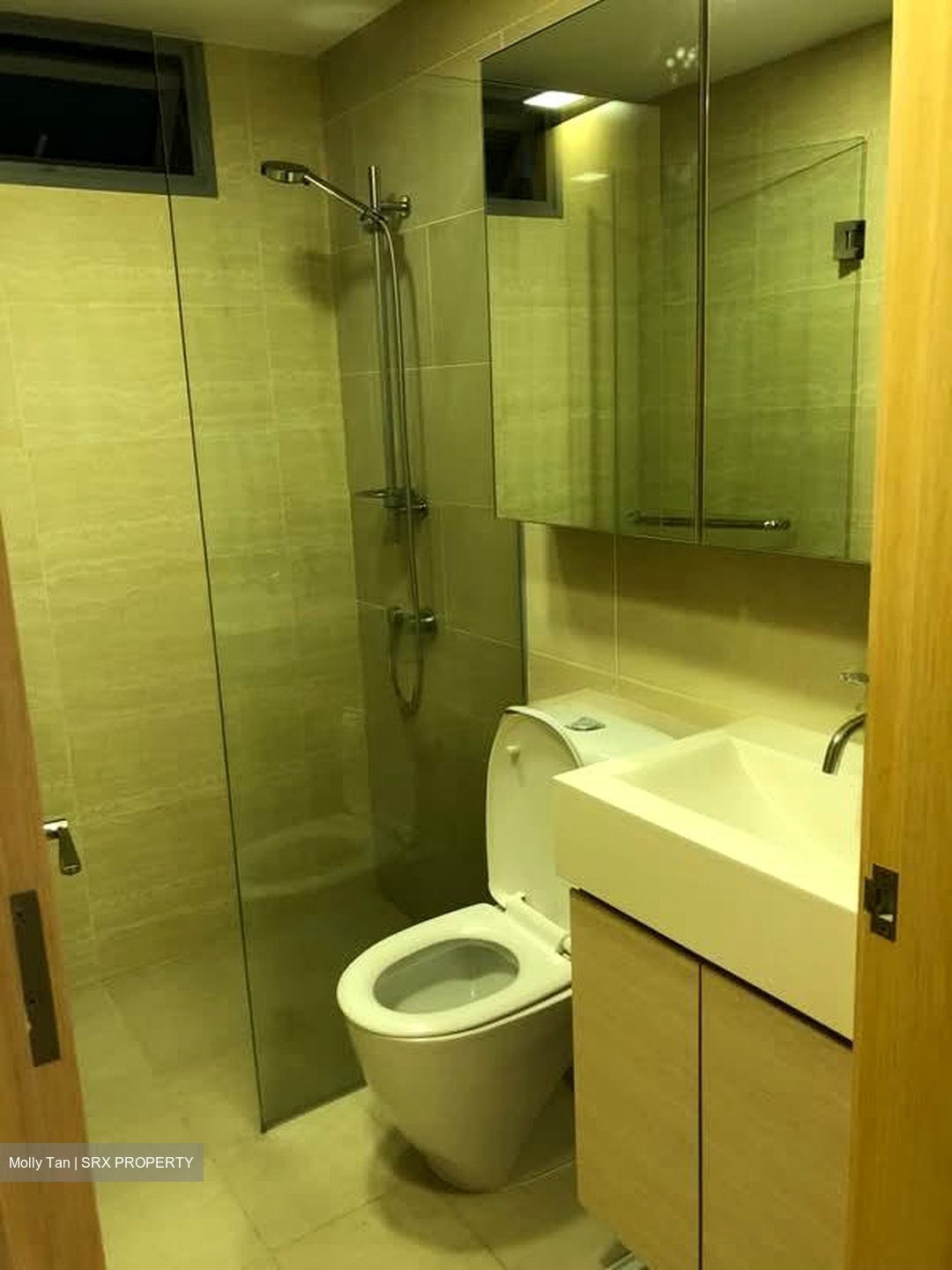 A Treasure Trove (D19), Condominium #618794961